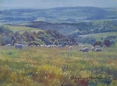 Landscapes