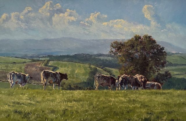 Distant Dartmoor