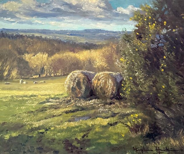 Old Bales  -  (Day 10)