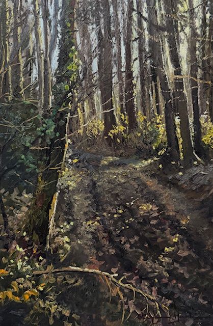 Day 2 - Woodland Light