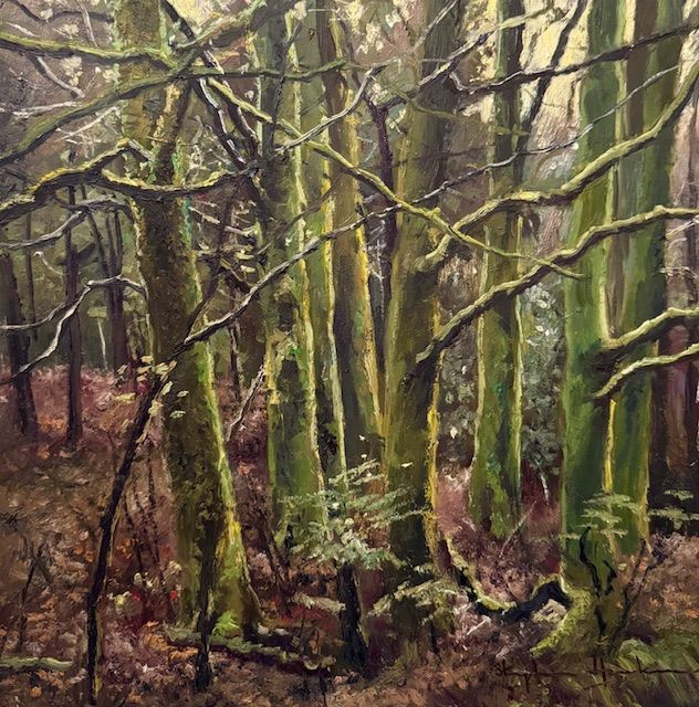 Day 13 - Moss Covered Trees