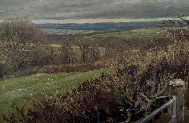 Day 11 - Patterns in a Landscape