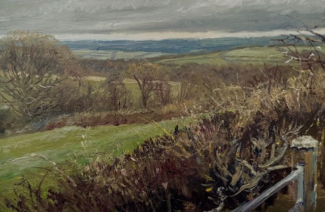 Day 11 - Patterns in a Landscape