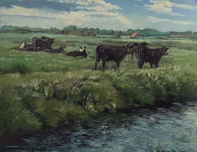 Cattle on Braunton Marsh