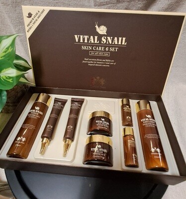 Vital Snail Set (BBD NOV 20,2025)