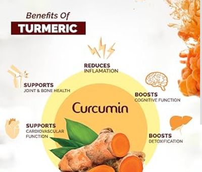 DNS GINGER TURMERIC 60 CAPSULE