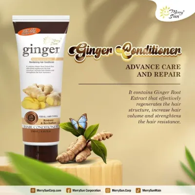 Merry Sun Ginger Conditioner 250ml Expiration Nov 23,2026 Merry Sun Ginger Conditioner 250ml Expiration Nov 23,2026