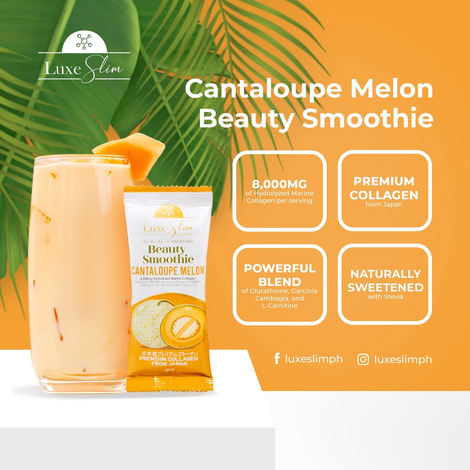LUXE SLIM CANTALOUPE MELON JAR 500G EXP SET 25.2027