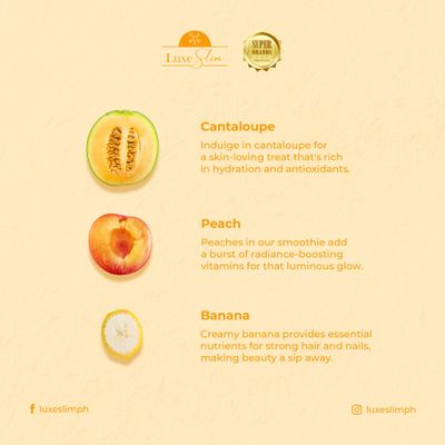 LUXE SLIM CANTALOUPE MELON JAR 500G EXP SET 25.2027