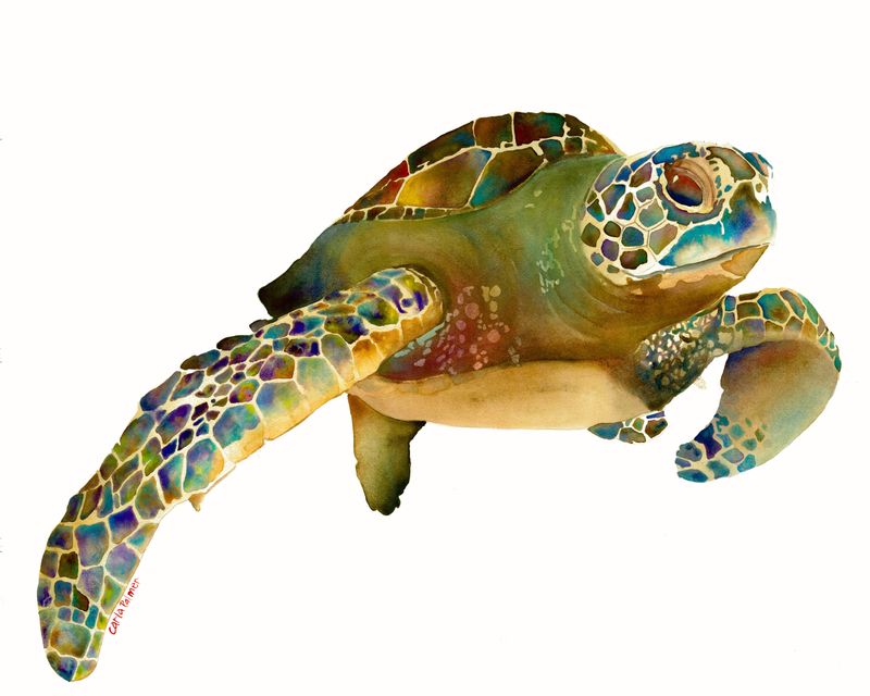 Honu