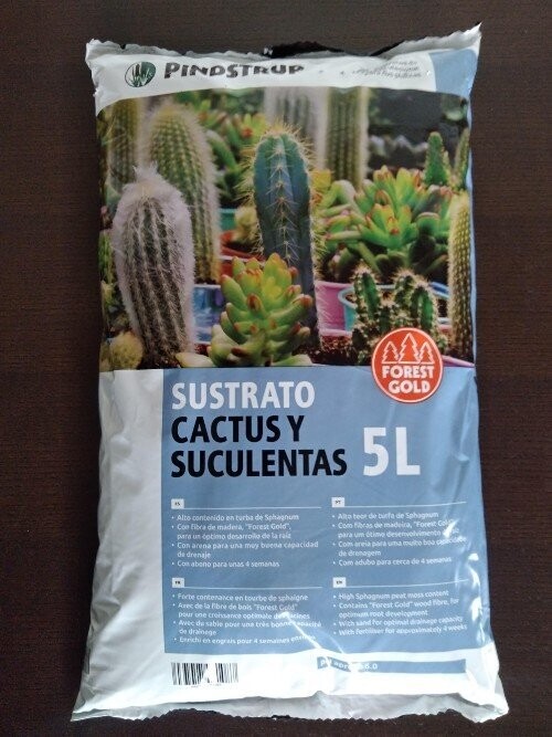Sustrato cactus y suculentas