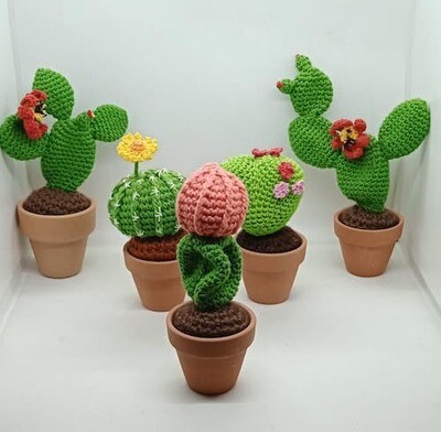 Cactus Decorativos