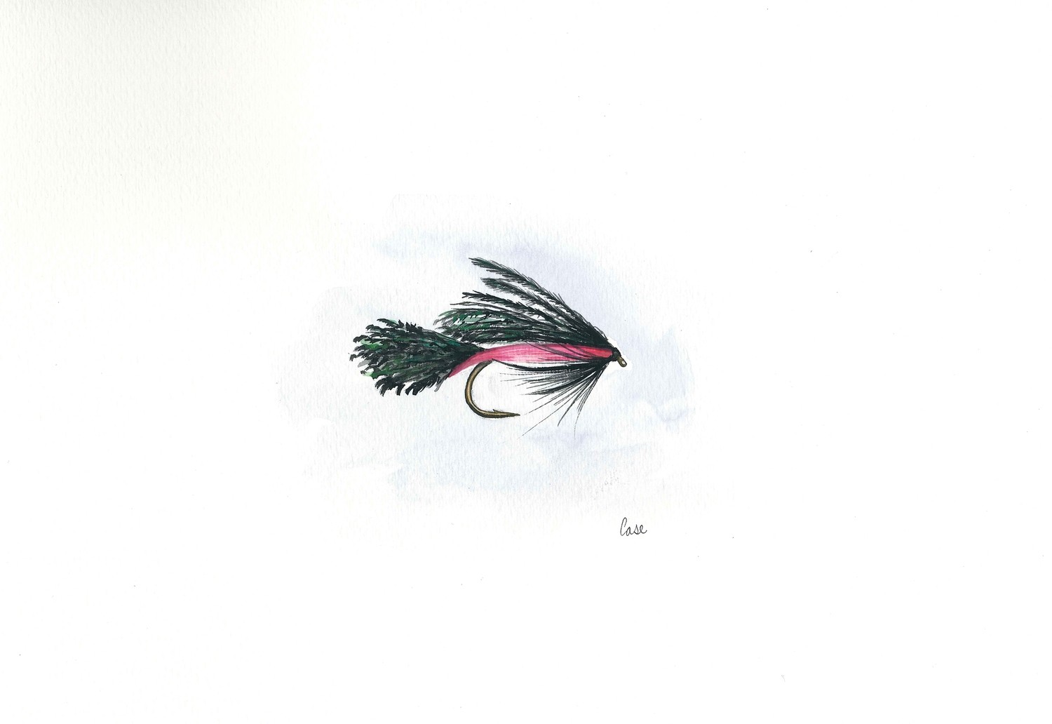 David&#39;s Fly