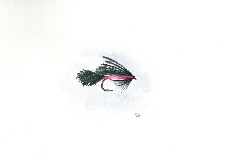 David&#39;s Fly