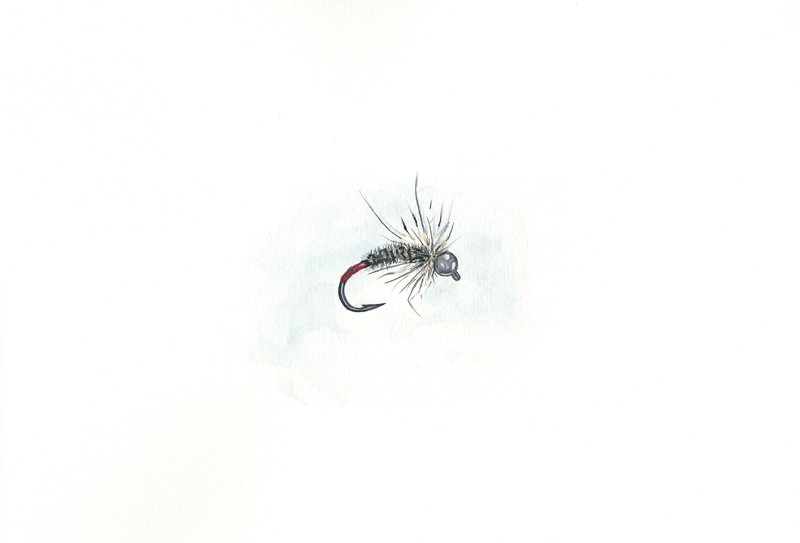 Red Butted Pheasant Tail Nymph