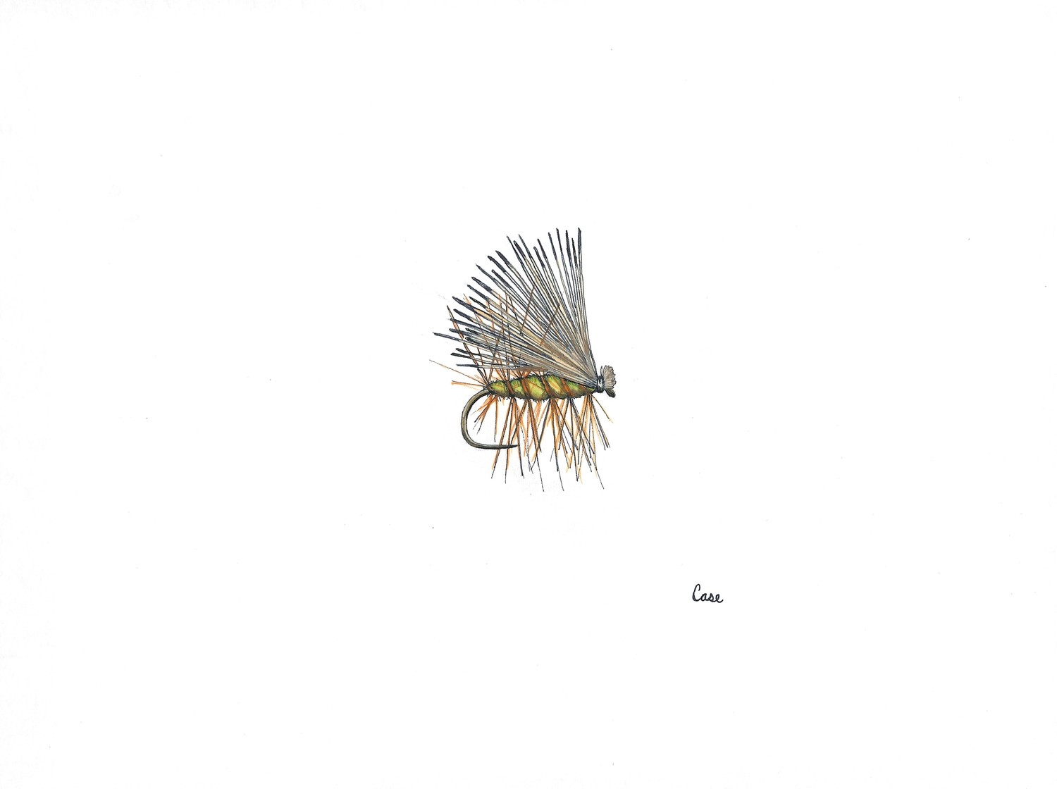 Elk Hair Caddis