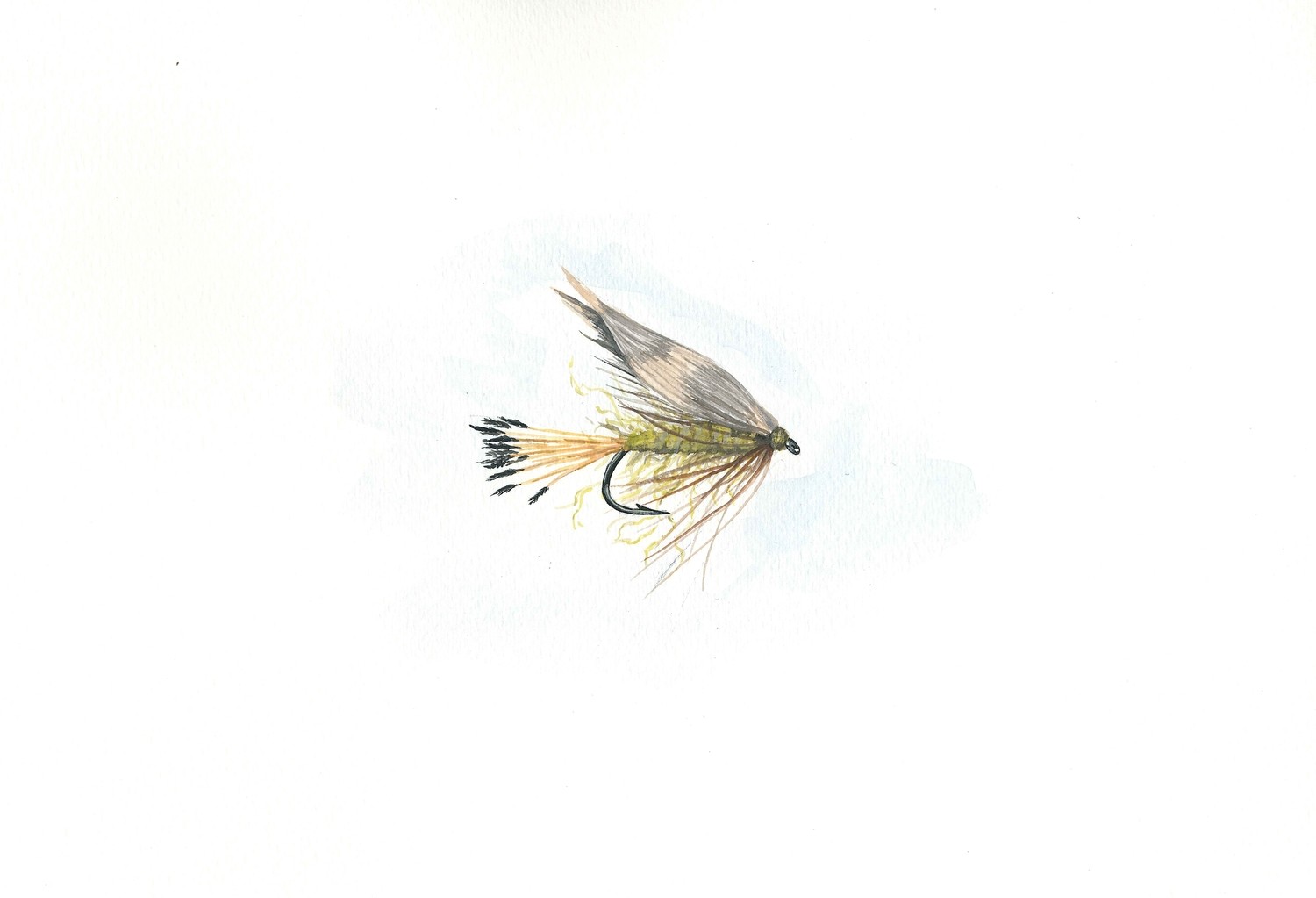 Ideal Trout Fly