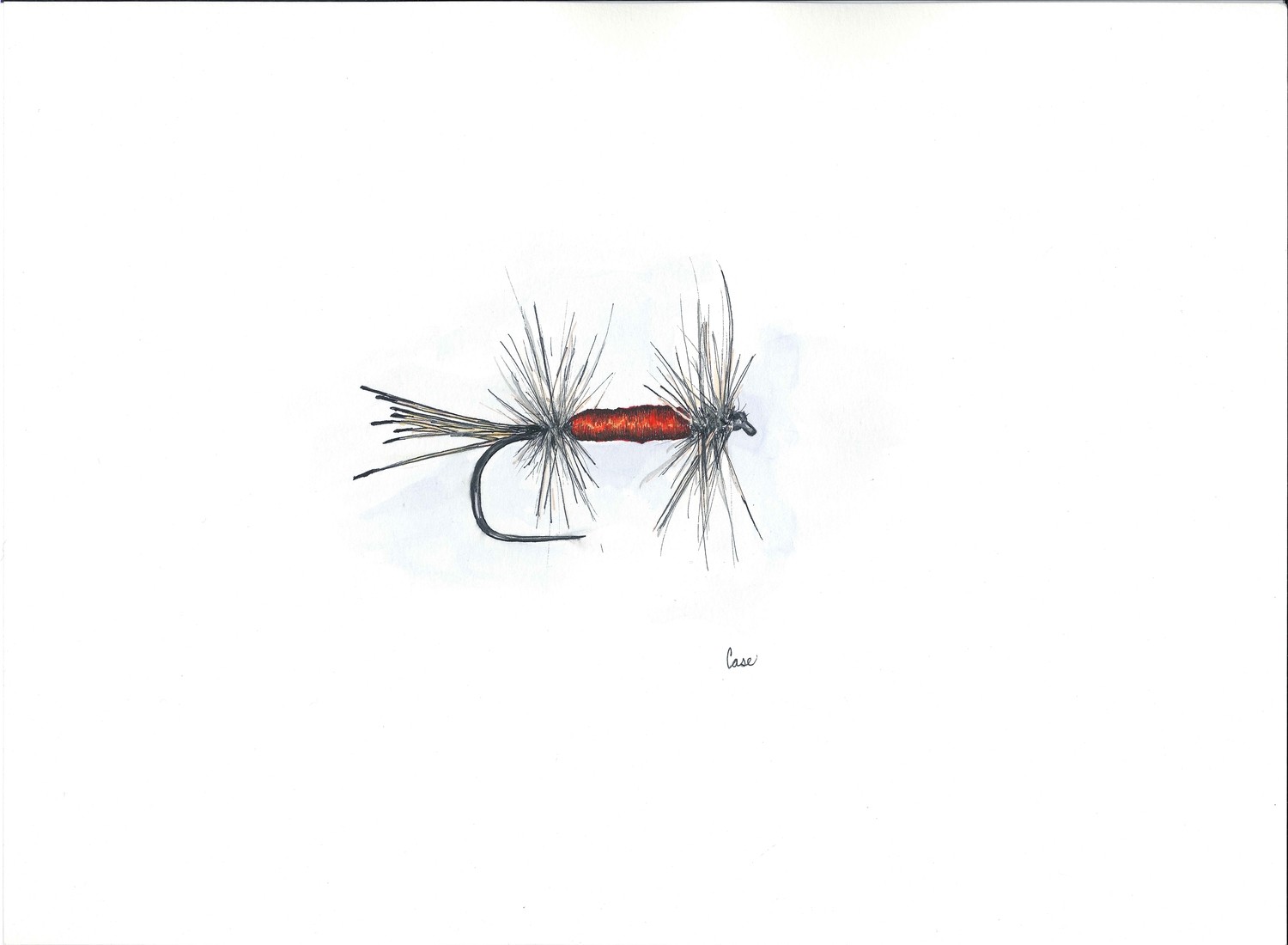 Seirra Bright Dot