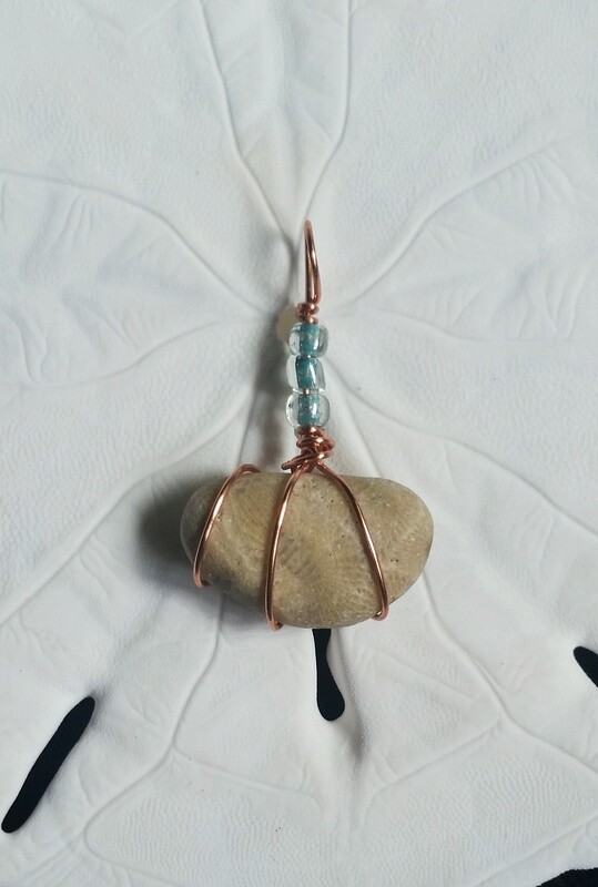 Lake Michigan Petoskey Stone