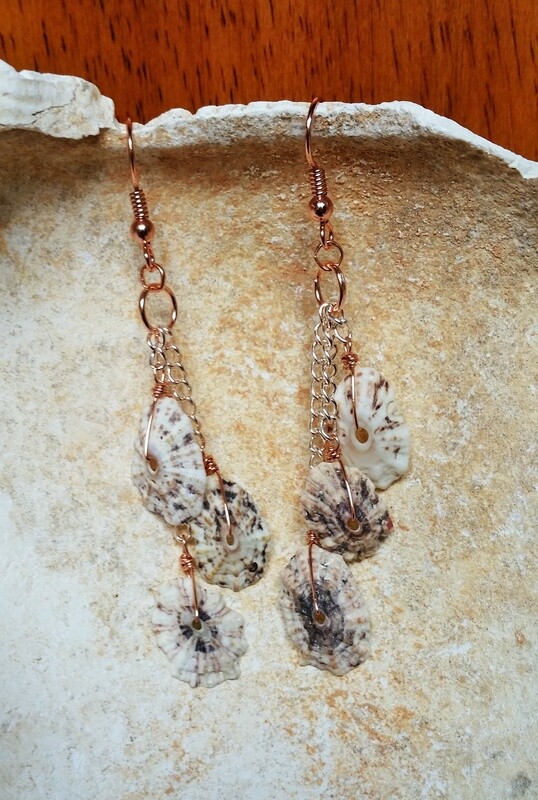 Shells on Rose Gold