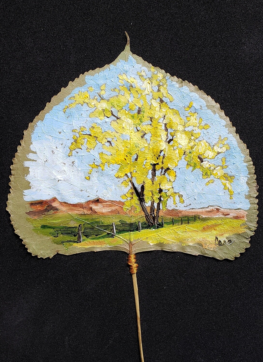 Cottonwood I