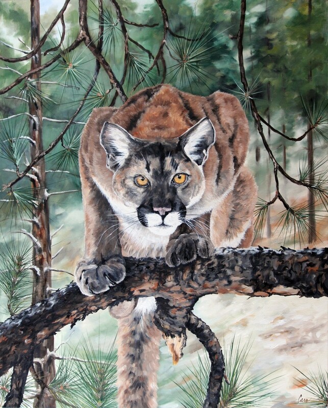 Poised to Pounce