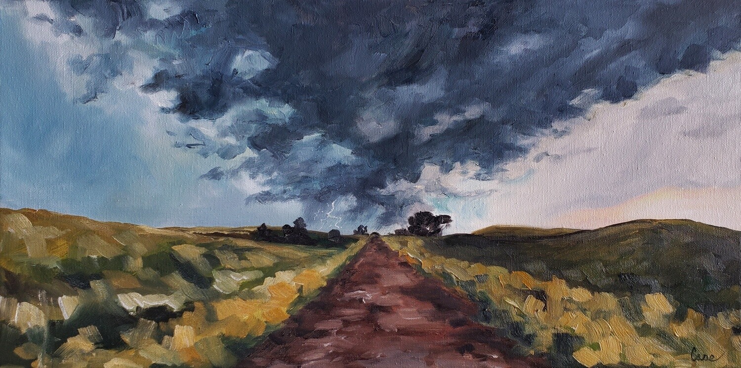 Prairie Road Storms