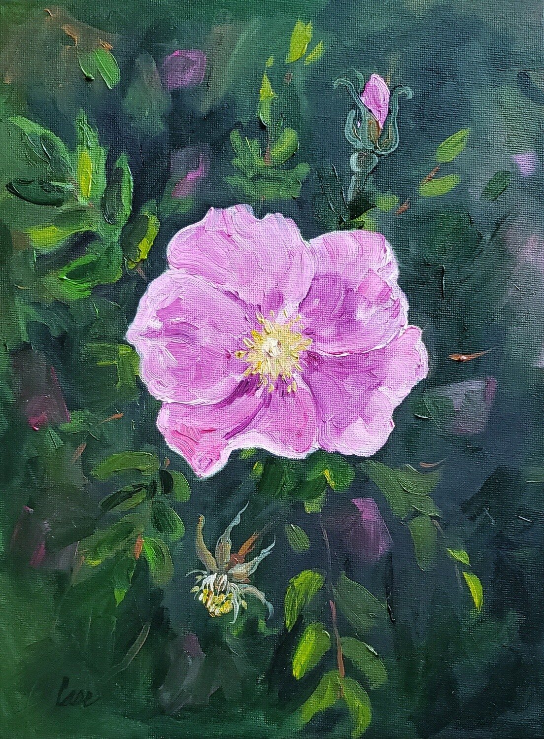 Prairie Rose