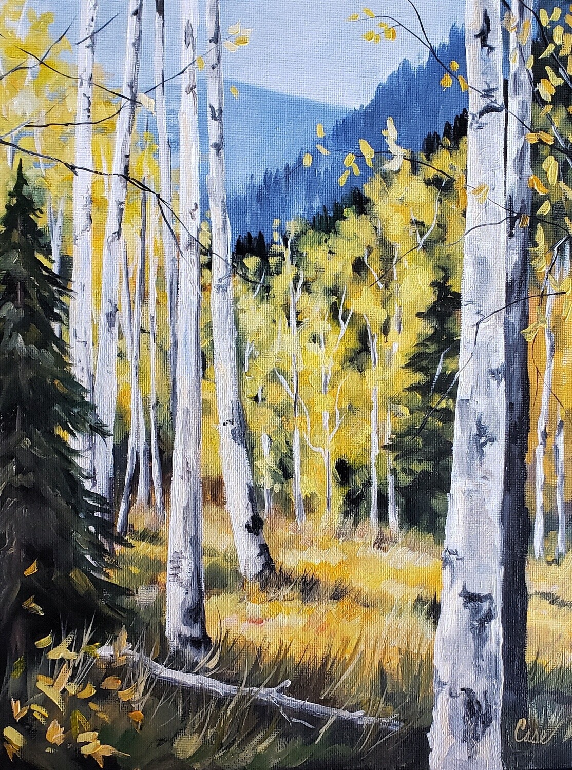 Aspen Meadow