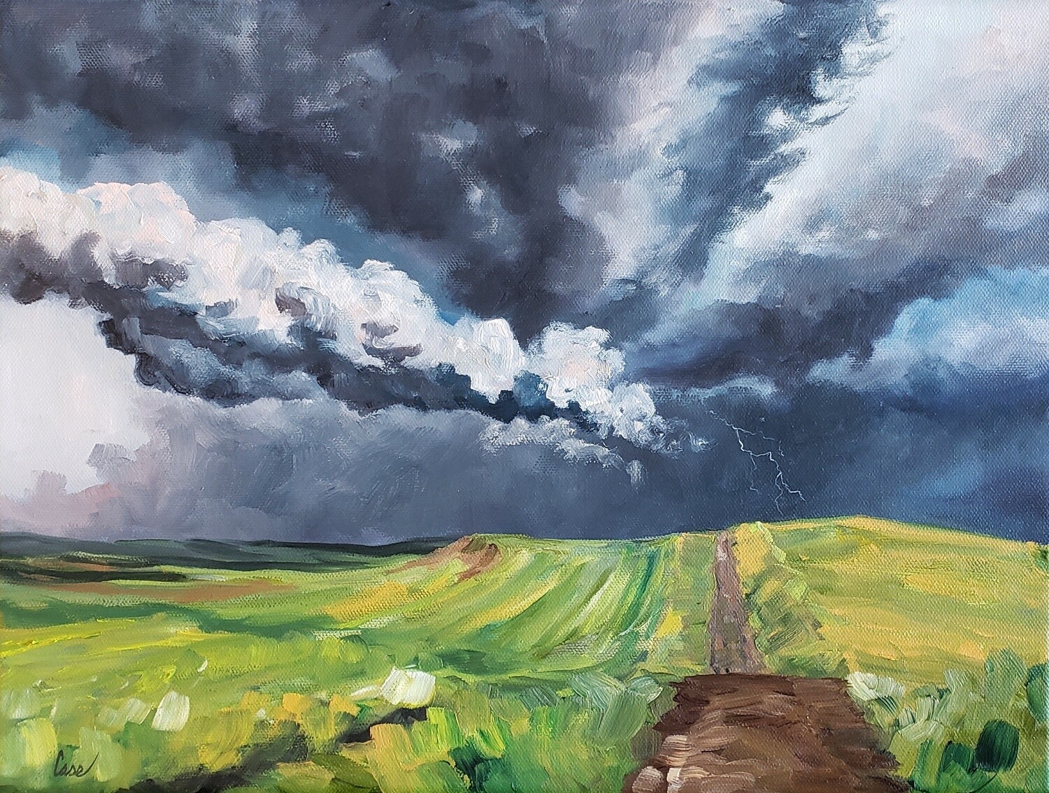 Prairie Road Storms II