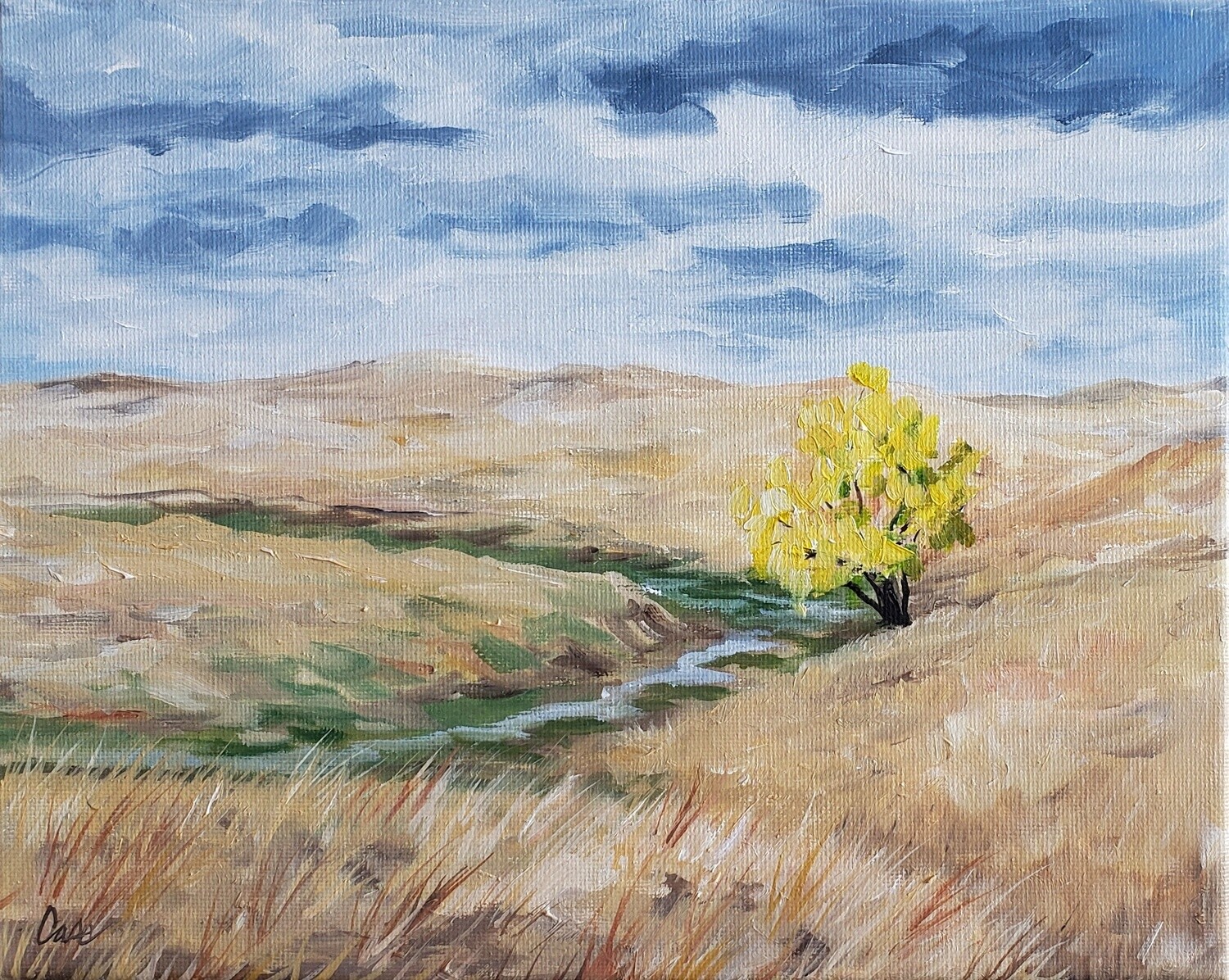 Songs of the Prairie - Courage
