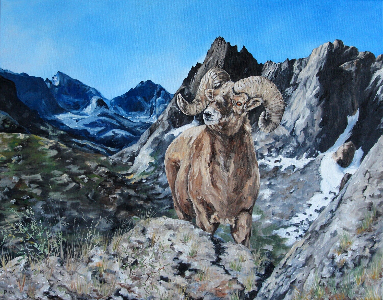 Bighorn of Wind River