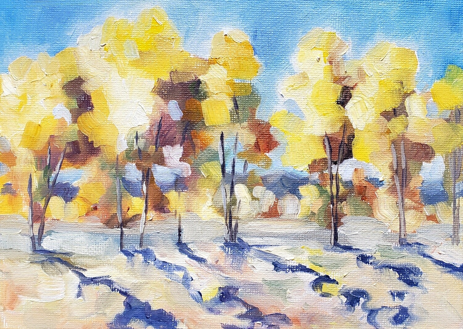 Cottonwoods in the Setting Sun