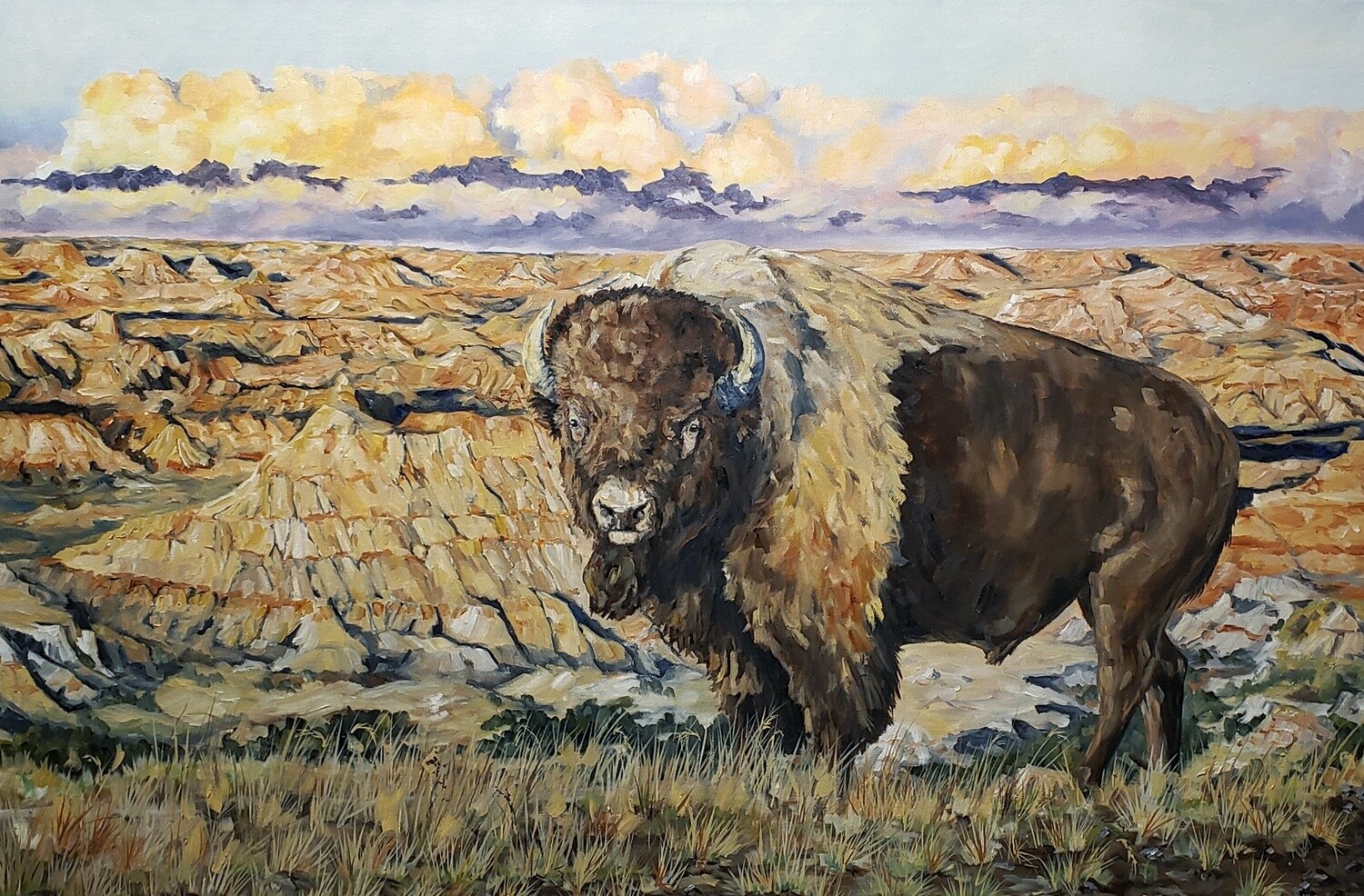 Sentinel of the Badlands