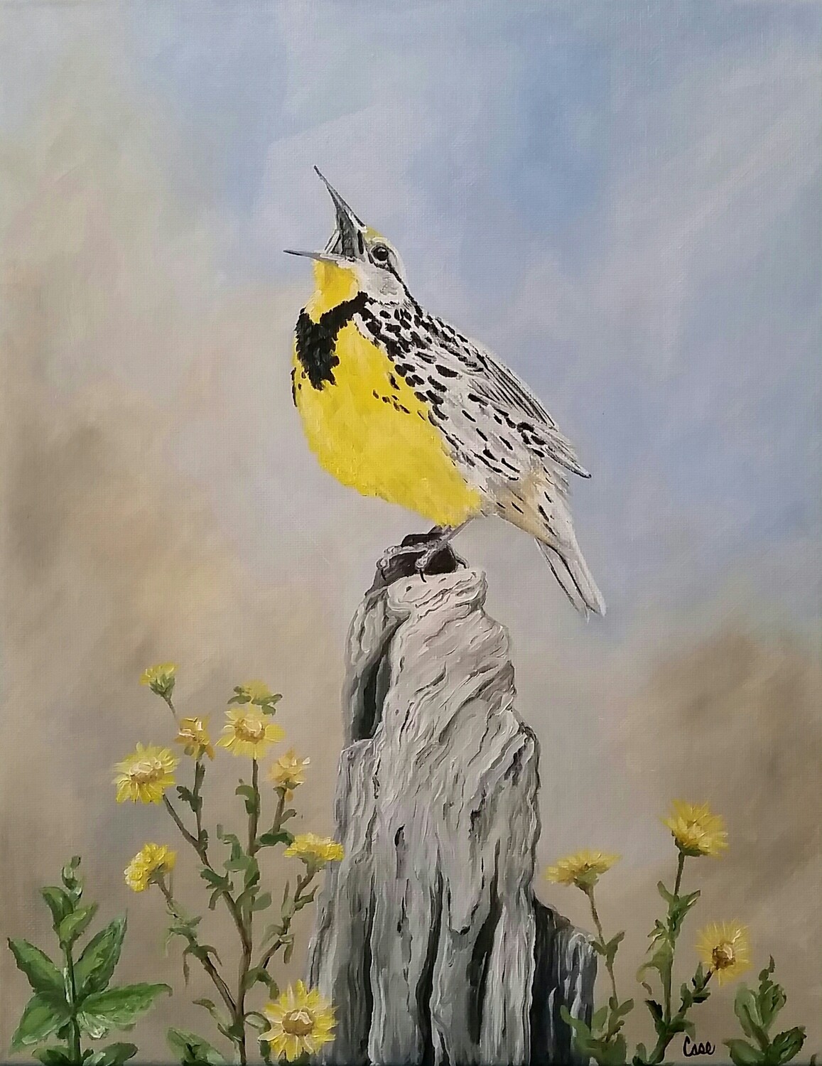 The Meadow Larks Song