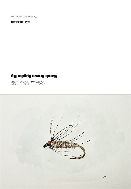 Fly Collection