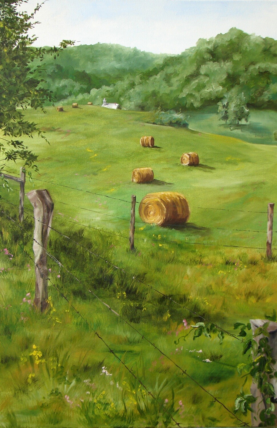 Bales in the Field