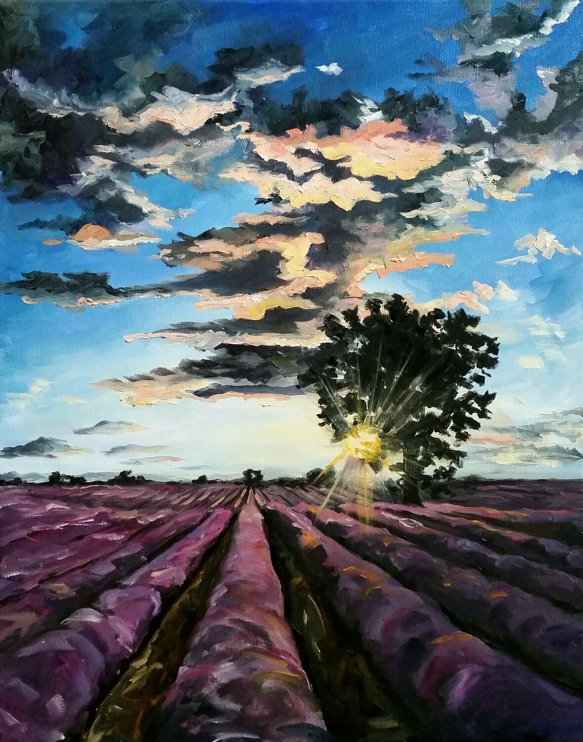 Sunset Over Lavender Fields