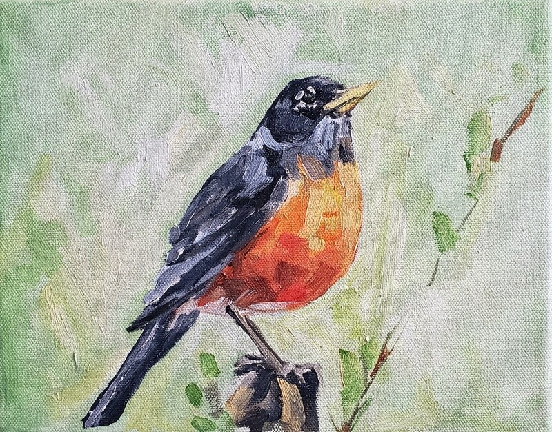 Robins