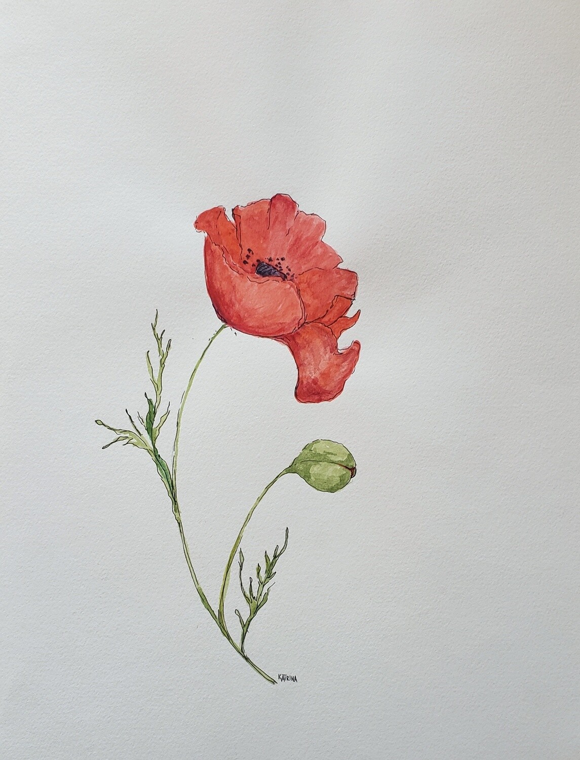 Degradation of Peace