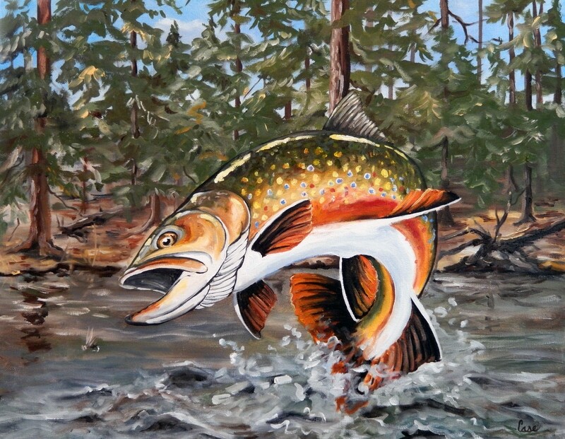 Brooke Trout Breach