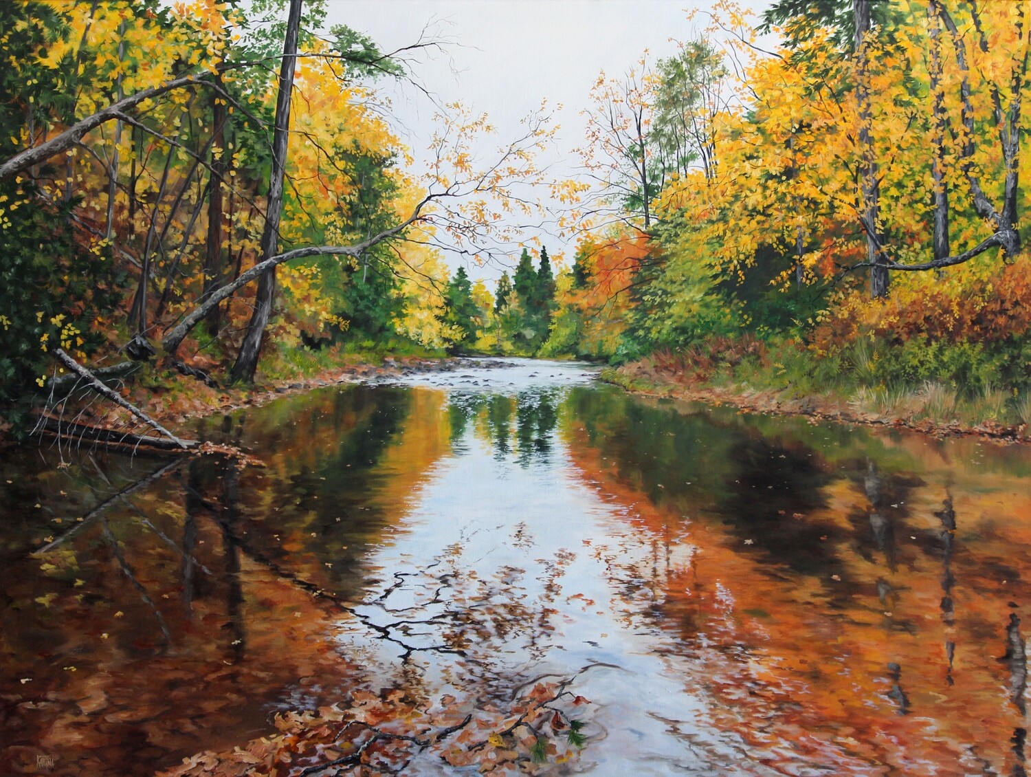 Colors of Fall