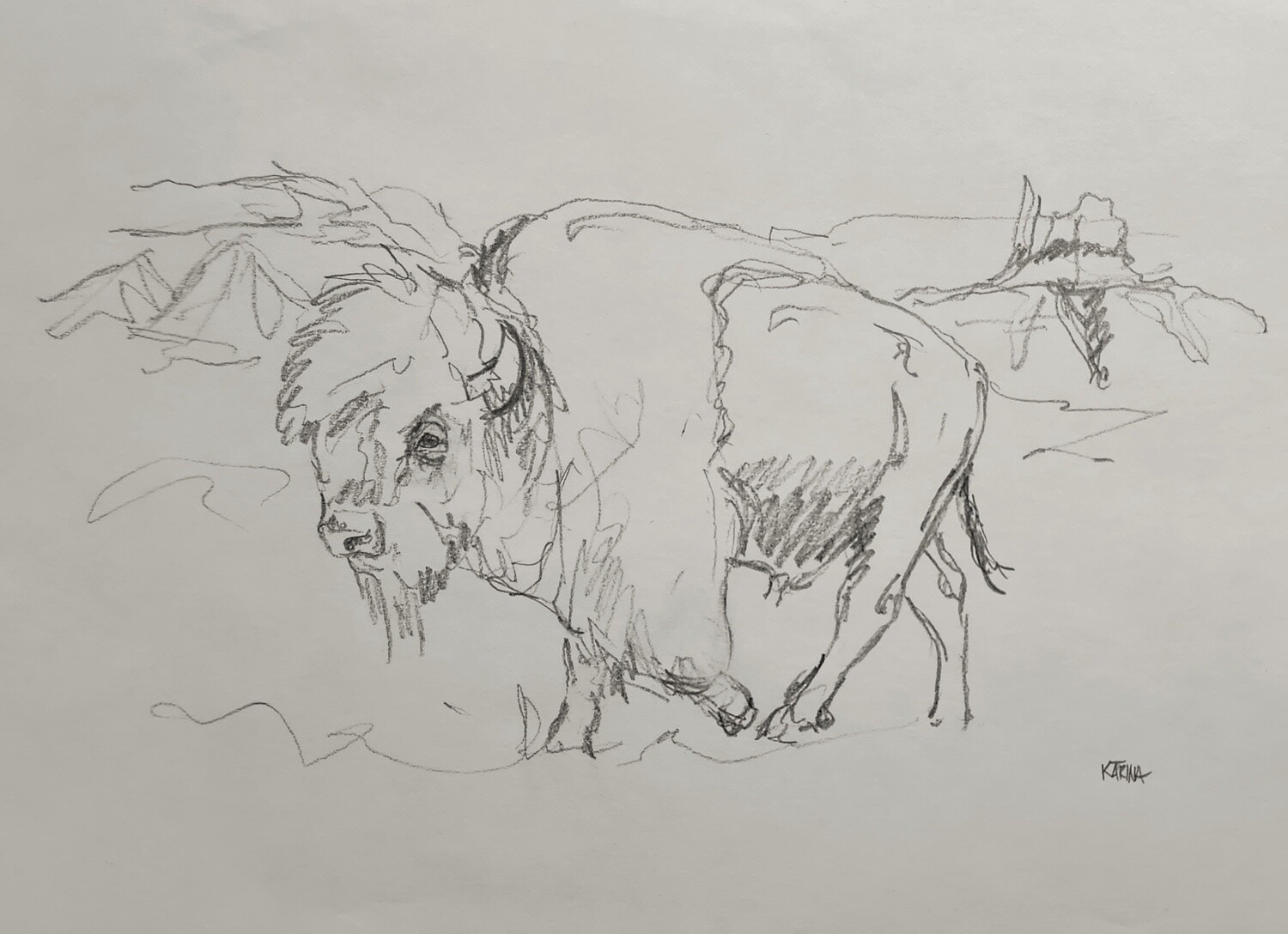 Crossing the Badlands