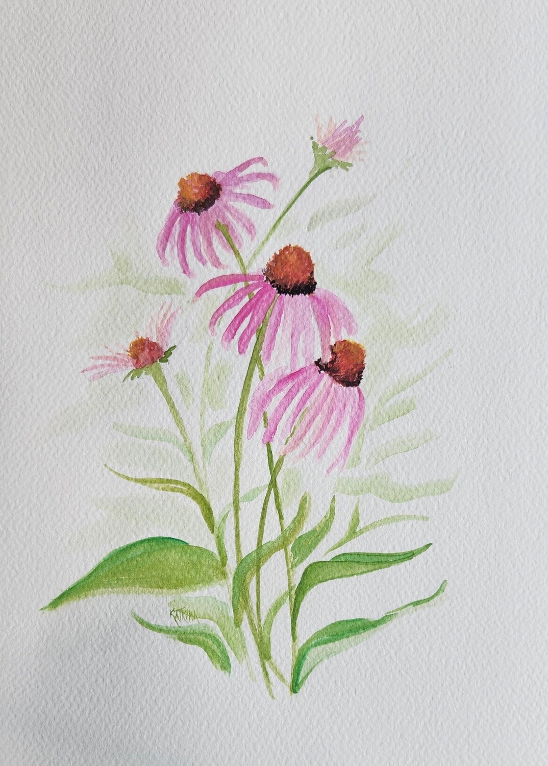 Purple Cone Flower