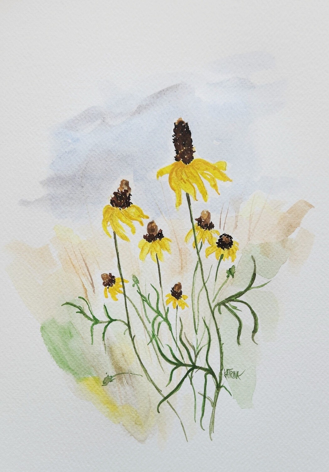 Yellow Coneflower