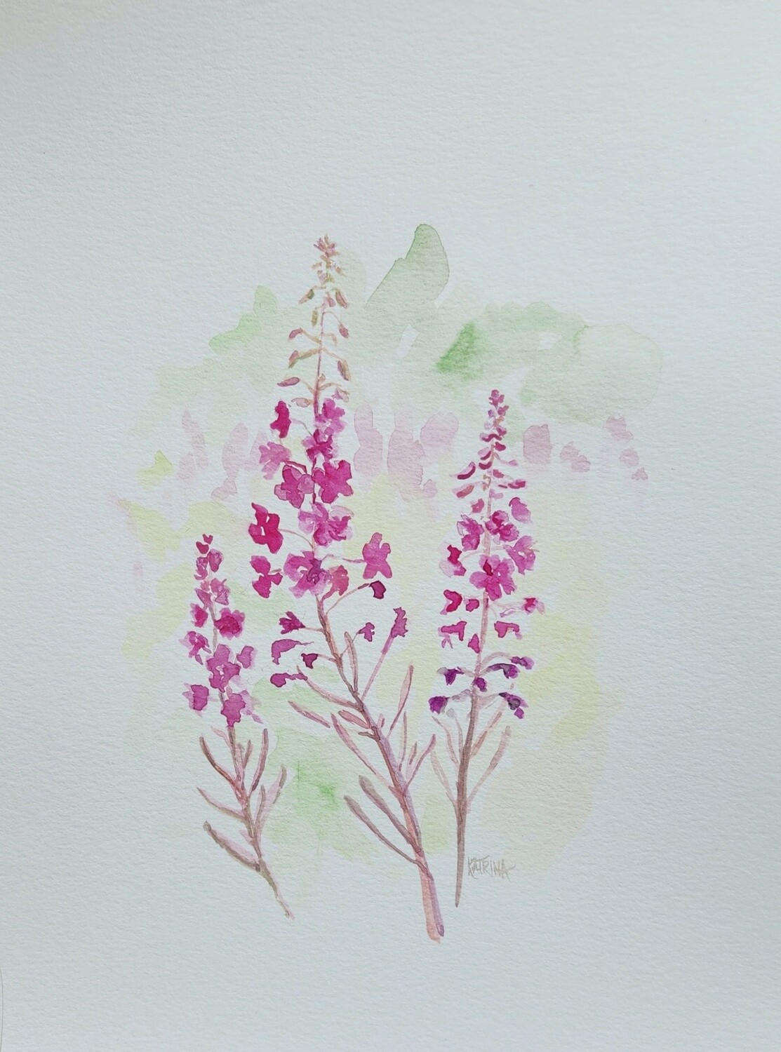Fireweed