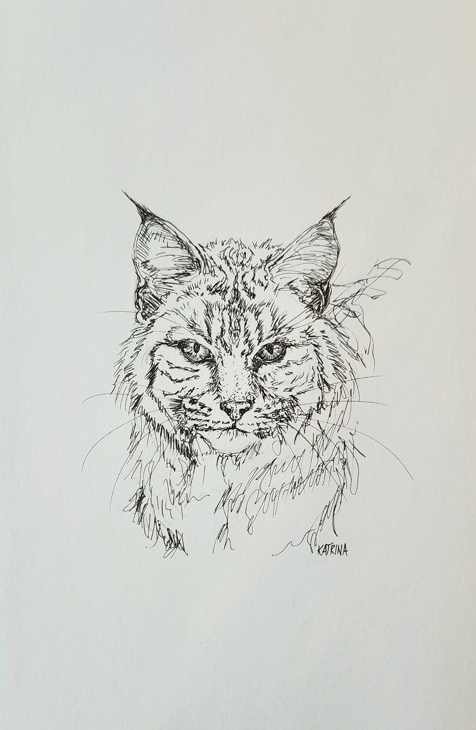 The Bobcat