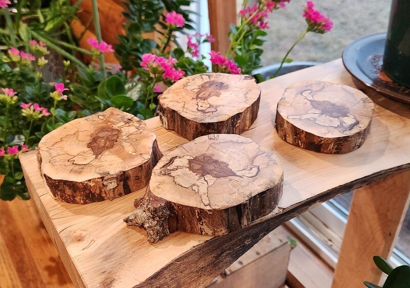 Spalted Maple Coasters
