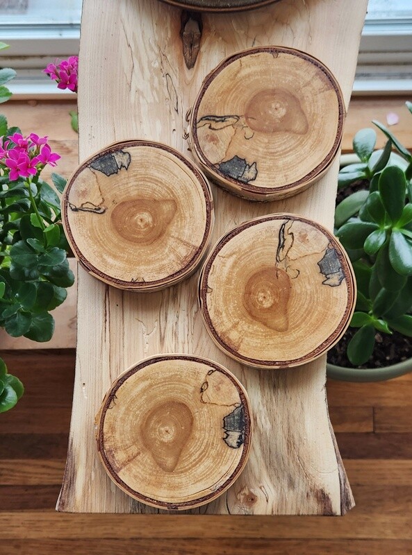 Spalted Birch Coasters