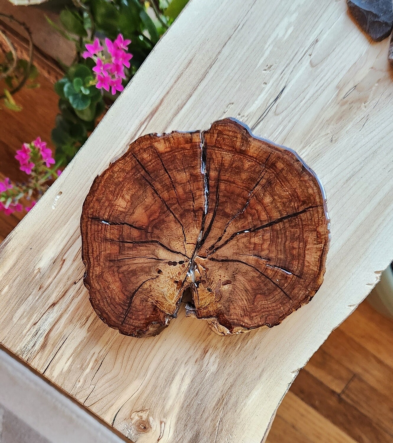 Walnut Burl Coaster